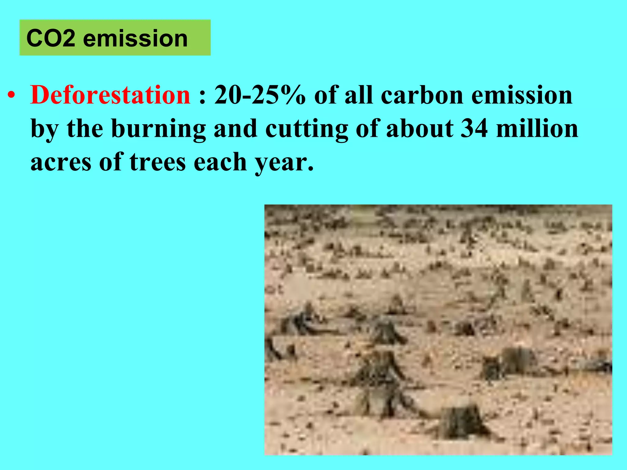 • Deforestation : 20-25% of all carbon emission
by the burning and cutting of about 34 million
acres of trees each year.
CO2 emission
 