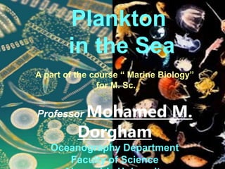 Plankton
in the Sea
A part of the course “ Marine Biology”
for M. Sc.
Professor Mohamed M.
Dorgham
Oceanography Department
Faculty of Science
 