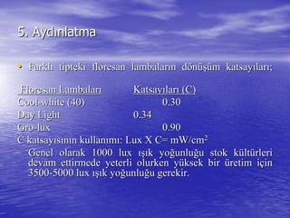 5.5. AydAydıınlatmanlatma
•• FarklFarklıı tiptekitipteki floresanfloresan lambalarlambalarıın dn döönnüüşşüüm katsaym katsayıılarlarıı;;
FloresanFloresan LambalarLambalarıı KatsayKatsayıılarlarıı (C)(C)
CoolCool--whitewhite (40)(40) 0.300.30
DayDay LightLight 0.340.34
GroGro--luxlux 0.900.90
C katsayC katsayııssıınnıın kullann kullanıımmıı:: LuxLux X C=X C= mWmW/cm/cm22
Genel olarak 1000Genel olarak 1000 luxlux ışıışık yok yoğğunluunluğğu stok ku stok küültltüürlerirleri
devamdevam ettirmede yeterli olurken yettirmede yeterli olurken yüüksek birksek bir üüretim iretim iççinin
35003500--50005000 luxlux ışıışık yok yoğğunluunluğğu gerekir.u gerekir.
 
