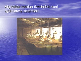 Alg kAlg küültltüür tanklarr tanklarıı üüzerindeki sunizerindeki suni
aydaydıınlatma sistemlerinlatma sistemleri
 
