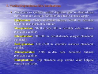 E. Vertikal DaE. Vertikal Dağığıllıımlarmlarıına Gna Gööre Sre Sıınnııflandflandıırmarma
•• Planktonun su iPlanktonun su iççindeki vertikal daindeki vertikal dağığıllışıışına gna gööre sre sıınnııflandflandıırrıılmaslmasıı
deniz ortamdeniz ortamıınnıın ekolojikn ekolojik öözellikleri de dikkate alzellikleri de dikkate alıınarak yapnarak yapııllıır.r.
EpiplanktonEpiplankton:: YYüüzey sularzey sularıından itibaren 50ndan itibaren 50––80 m. derinli80 m. derinliğğee
kadar bulunan planktonik canlkadar bulunan planktonik canlıılar.lar.
MesoplanktonMesoplankton:: 5050--80 m.80 m.’’den 200 m. derinliden 200 m. derinliğğe kadar rastlanane kadar rastlanan
planktonik canlplanktonik canlıılar.lar.
InfraplanktonInfraplankton:: 200200––600 m. derinliklerinde ya600 m. derinliklerinde yaşşayan planktonikayan planktonik
canlcanlıılardlardıır.r.
BathyplanktonBathyplankton:: 600600––2.500 m. derinlikte rastlanan planktonik2.500 m. derinlikte rastlanan planktonik
canlcanlıılar.lar.
AbissoplanktonAbissoplankton:: 2.500 m.2.500 m.’’den daha derinlerde bulunanden daha derinlerde bulunan
planktonik canlplanktonik canlıılar.lar.
HadoplanktonHadoplankton:: Dip planktonu olup, zemine yakDip planktonu olup, zemine yakıın bn böölgedelgede
yayaşşayan canlayan canlıılardlardıır.r.
 
