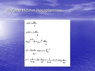 BBüüyyüüme Hme Hıızzıınnıın Hesaplanmasn Hesaplanmasıı
 