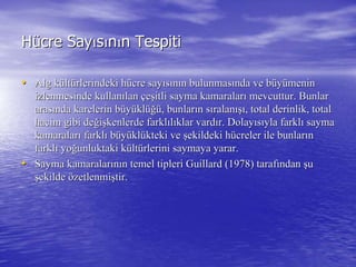 HHüücre Saycre Sayııssıınnıın Tespitin Tespiti
•• Alg kAlg küültltüürlerindeki hrlerindeki hüücre saycre sayııssıınnıın bulunmasn bulunmasıında ve bnda ve büüyyüümeninmenin
izlenmesinde kullanizlenmesinde kullanıılanlan ççeeşşitli sayma kamaralaritli sayma kamaralarıı mevcuttur. Bunlarmevcuttur. Bunlar
arasarasıında karelerin bnda karelerin büüyyüüklklüüğğüü, bunlar, bunlarıın sn sııralanralanışıışı, total derinlik, total, total derinlik, total
hacim gibi dehacim gibi değğiişşkenlerde farklkenlerde farklııllııklar vardklar vardıır. Dolayr. Dolayııssııyla farklyla farklıı saymasayma
kamaralarkamaralarıı farklfarklıı bbüüyyüüklklüükteki vekteki ve şşekildeki hekildeki hüücreler ile bunlarcreler ile bunlarıınn
farklfarklıı yoyoğğunluktaki kunluktaki küültltüürlerini saymaya yarar.rlerini saymaya yarar.
•• Sayma kamaralarSayma kamaralarıınnıın temel tiplerin temel tipleri GuillardGuillard (1978) taraf(1978) tarafıındanndan şşuu
şşekildeekilde öözetlenmizetlenmişştir.tir.
 