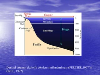 Denizel ortamın ekolojik yönden sınıflandırılması (PERCIER,1967’in
ÖZEL, 1992).
 