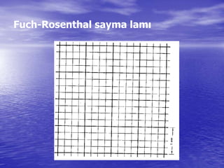 Fuch-Rosenthal sayma lamı
 