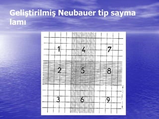 Geliştirilmiş Neubauer tip sayma
lamı
 