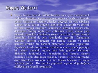 SaySayıım Ym Yööntemintemi
•• SaySayıım lamlarm lamlarıı öörnekle doldurulmadanrnekle doldurulmadan öönce iyice temizlenmelince iyice temizlenmeli
ve kurutulmalve kurutulmalııddıır. Sayma kamarasr. Sayma kamarasıı temiz ve yatemiz ve yağğssıız olmalz olmalııddıırr
çüçünknküü kamarankamaranıınn üüzerine ellerden gezerine ellerden geççecek bir yaecek bir yağğ tabakastabakasıı,,
kamara ikamara iççine konanine konan öörnerneğğin dain dağığıllıımmıınnıı ggüçüçleleşştirir vetirir ve öönemlinemli
bir hata kaynabir hata kaynağığı oluoluşşturur. Temizleme iturur. Temizleme işşleminde kamaraleminde kamara ööncence
deterjanla ydeterjanla yııkankanııp suyla iyicep suyla iyice ççalkalanalkalanıır, silinir, etanol yadar, silinir, etanol yada
asetonlu pamukla silindikten sonra temiz bir tasetonlu pamukla silindikten sonra temiz bir tüülbent beziylelbent beziyle
kurutulur. Lamel de aynkurutulur. Lamel de aynıı iişşlemlerden gelemlerden geççirilir. Kamaranirilir. Kamaranıınn
üüzerinde lamelin oturacazerinde lamelin oturacağığı yer hafifyer hafifççee ııslatslatııllıır ve lamelr ve lamel
kamarakamara üüzerine hizerine hiçç hareket etmeyecekhareket etmeyecek şşekilde yapekilde yapışışttıırrııllıır.r.
SaySayıılacaklacak öörnekrnek homojenizehomojenize edildikten sonra,edildikten sonra, pastpastöörr pipetiylepipetiyle
bir miktarbir miktarıı alalıınarak saynarak sayııma hazma hazıır hale getirilen kamarayar hale getirilen kamaraya
dikkatlice doldurulur ve hdikkatlice doldurulur ve hüücrelerin tcrelerin tüüm kamara alanm kamara alanıınana
homojen olarak dahomojen olarak dağığılmaslmasıı sasağğlanlanıır. Sayr. Sayıım im işşlemine gelemine geççmedenmeden
öönce hnce hüücrelerincrelerin çöçökmesi ikmesi iççin 3in 3--5 dakika beklenir ve say5 dakika beklenir ve sayıımm
iişşlemine gelemine geççilir. Bu iilir. Bu işşlemler yaplemler yapıılacak saylacak sayıımmıın don doğğruluruluğğunuunu
etkileyen enetkileyen en öönemli noktalardnemli noktalardıır.r.
 