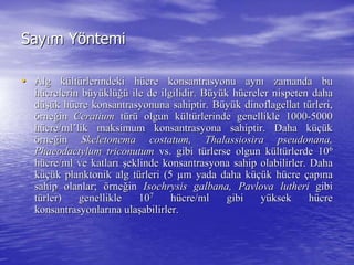 SaySayıım Ym Yööntemintemi
•• Alg kAlg küültltüürlerindeki hrlerindeki hüücre konsantrasyonu ayncre konsantrasyonu aynıı zamanda buzamanda bu
hhüücrelerin bcrelerin büüyyüüklklüüğğüü ileile de ilgilidir. Bde ilgilidir. Büüyyüük hk hüücreler niscreler nisppeten dahaeten daha
ddüüşşüük hk hüücre konsantrasyonuna sahiptir. Bcre konsantrasyonuna sahiptir. Büüyyüükk dinoflagellatdinoflagellat ttüürleri,rleri,
öörnerneğğinin CeratiumCeratium ttüürrüü olgun kolgun küültltüürlerinde genellikle 1000rlerinde genellikle 1000--50005000
hhüücre/cre/mlml’’liklik maksimum konsantrasyona sahiptir. Daha kmaksimum konsantrasyona sahiptir. Daha küçüüçükk
öörnerneğğinin SkeletonemaSkeletonema costatumcostatum,, ThalassiosiraThalassiosira pseudonanapseudonana,,
PhaeodactylumPhaeodactylum triconutumtriconutum vs. gibi tvs. gibi tüürlerse olgun krlerse olgun küültltüürlerde 10rlerde 1066
hhüücre/ml ve katlarcre/ml ve katlarıı şşeklinde konsantrasyona sahip olabilirler. Dahaeklinde konsantrasyona sahip olabilirler. Daha
kküçüüçük planktonik alg tk planktonik alg tüürleri (5rleri (5 µµm yada daha km yada daha küçüüçük hk hüücrecre ççapapıınana
sahip olanlar;sahip olanlar; öörnerneğğinin IsIsoochrysischrysis galbanagalbana,, PavlovaPavlova lutherilutheri gibigibi
ttüürler) genellikle 10rler) genellikle 1077
hhüücre/ml gibi ycre/ml gibi yüüksek hksek hüücrecre
konsantrasyonlarkonsantrasyonlarıına ulana ulaşşabilirler.abilirler.
 