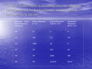 TABLOTABLO-- FarklFarklıı HHüücre konsantrasyonlarcre konsantrasyonlarıına sahip algna sahip alg
kküültltüürlerinin sayma kamaralarrlerinin sayma kamaralarıında istatistik olaraknda istatistik olarak
beklenen hbeklenen hüücre saycre sayıılarlarıı
Kültürdeki Hücre
Konsantrasyonu
(Hücre/ml)
Palmer-Maloney
0.1 ml
Fuchs-Rosenthal
3.2X10 –3 ml
Geliştirilmiş
Neubauer
9X10 –4 ml
102 10 0 0
103 100 3.2 0.9
104 1000 32 9
105 104 320 90
106 105 3200 900
107 106 3.2X104 9X103
 