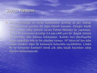SaySayıım Ym Yööntemintemi
•• HHüücre bcre büüyyüüklklüüğğüü ile sayma kamarasile sayma kamarasıınnıın derinlin derinliğği de gi de göözz öönnüündende
bulundurulmasbulundurulmasıı gereken bir digereken bir diğğerer öönemli husustur.nemli husustur. ÖÖrnerneğğin kin küçüüçükk
hhüücrecre ççapapıına sahip tna sahip tüürlerin sayrlerin sayıımmıı PalmerPalmer--MaloneyMaloney’’dede yapyapıılamaz.lamaz.
ÇüÇünknküü bu kamaranbu kamaranıın derinlin derinliğği 0.4 mm (400i 0.4 mm (400 µµm)m)’’dirdir. K. Küçüüçük tk tüürlerinrlerin
bu derinlikte dibe batmasbu derinlikte dibe batmasıı beklenemez.beklenemez. KaldKaldııkiki bazbazıı dinoflagellatdinoflagellat
ttüürleri santrifrleri santrifüüjle bile iyi birjle bile iyi bir çöçökelme vermez. 10kelme vermez. 1044
hhüücre/cre/mlml’’denden dahadaha
yoyoğğunun öörnekler dirnekler diğğer iki kamarayla kolayler iki kamarayla kolaylııkla saykla sayıılabilirler.labilirler. ÇüÇünknküü
bu tip kamaralar kantitatif olarakbu tip kamaralar kantitatif olarak ççok daha kok daha küçüüçük hacimlere sahipk hacimlere sahip
karelere bkarelere bööllüünmnmüüşşlerdir.lerdir.
 