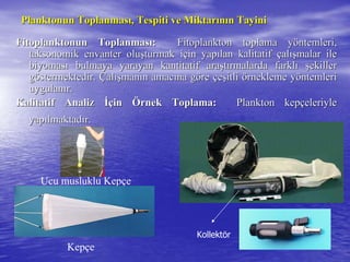 Planktonun ToplanmasPlanktonun Toplanmasıı, Tespiti ve Miktar, Tespiti ve Miktarıınnıın Tayinin Tayini
Fitoplanktonun ToplanmasFitoplanktonun Toplanmasıı:: Fitoplankton toplama yFitoplankton toplama yööntemleri,ntemleri,
taksonomik envanter olutaksonomik envanter oluşşturmak iturmak iççin yapin yapıılan kalitatiflan kalitatif ççalalışışmalar ilemalar ile
biyomasbiyomasıı bulmaya yarayan kantitatif arabulmaya yarayan kantitatif araşşttıırmalarda farklrmalarda farklıı şşekillerekiller
ggööstermektedir.stermektedir. ÇÇalalışışmanmanıın amacn amacıına gna göörere ççeeşşitliitli öörnekleme yrnekleme yööntemlerintemleri
uygulanuygulanıır.r.
Kalitatif AnalizKalitatif Analiz İİççinin ÖÖrnek Toplama:rnek Toplama: Plankton kepPlankton kepççeleriyleeleriyle
yapyapıılmaktadlmaktadıır.r.
Ucu musluklu Kepçe
Kepçe
Kollektör
 