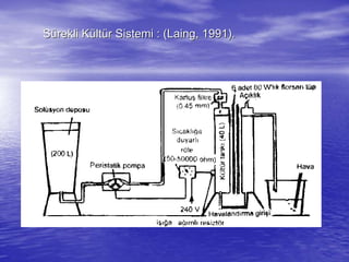 SSüürekli Krekli Küültltüür Sistemi : (r Sistemi : (LaingLaing, 1991)., 1991).
 