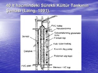 4040 ltlt hacmindeki Shacmindeki Süürekli Krekli Küültltüür Tankr Tankıınnıınn
ŞŞemasemasıı ((LaingLaing, 1991)., 1991).
 