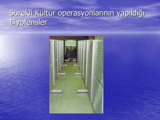 SSüürekli Krekli Küültltüür operasyonlarr operasyonlarıınnıın yapn yapııldldığıığı
BiyofenslerBiyofensler
 