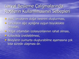 Larval BeslemeLarval Besleme ÇÇalalışışmalarmalarıındanda
Rotiferin KullanRotiferin Kullanıılmaslmasıınnıın Sebeplerin Sebepleri
•• BalBalıık larvalark larvalarıınnıı dodoğğal besinini olual besinini oluşşturmasturmasıı,,
•• LarvalarLarvalarıın an ağığız az aççııllığıığına uygun bna uygun büüyyüüklklüüktekte
olmalarolmalarıı,,
•• DoDoğğal ortamdan izolasyonlaral ortamdan izolasyonlarıınnıın rahat olmasn rahat olmasıı,,
•• KolaylKolaylııklakla üüretilebilmesi,retilebilmesi,
•• Bireylerin yumurta oluBireylerin yumurta oluşşturabilme aturabilme aşşamasamasıınana ççokok
kkıısa ssa süürede ularede ulaşşmasmasıı ddıır.r.
 