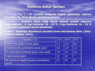 Rotiferin Kültür Şartları
•Tuzluluk: %0 1 – 97 tuzluluk aralığında dağılım gösterirler. Optimal
üremeleri %0 35 in altında gerçekleşmektedir.
•Sıcaklık : Rotiferin tipine bağlı olarak optimal sıcaklık değerleri
değişmektedir. S- tipi Rotiferler 28 – 35 0C, L-tipi Rotiferler 18 – 25 0C
arasındaki sıcaklıkları tercih etmektedir.
Tablo 1. Sıcaklığın Brachionus plicatilis üreme aktivitesine etkisi. (After
Ruttner-Kolisko, 1972).
SSııcaklcaklıık (k ( 00 C)C) 1515 00CC 2020 00CC 2525 00CC
EmbriyonikEmbriyonik geligelişşim sim süüresi (gresi (güün)n) 1.31.3 1.01.0 0.60.6
DiDişşi bireyin ilk yumurtlama si bireyin ilk yumurtlama süüresi (gresi (güün)n) 3.03.0 1.91.9 1.31.3
İİki yumurtlama araski yumurtlama arasıında genda geççen sen süüre (saat)re (saat) 7.07.0 5.35.3 4.04.0
YaYaşşam sam süüresi (gresi (güün)n) 1515 1010 77
Bir diBir dişşi bireyi hayati bireyi hayatıı boyunca yumurtlamaboyunca yumurtlama
saysayııssıı
2323 2323 2020
 