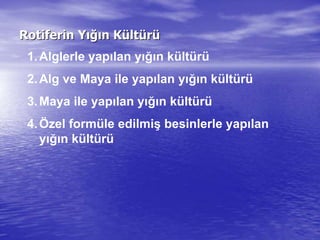 RotiferinRotiferin YYığıığın Kn Küültltüürrüü
1.Alglerle yapılan yığın kültürü
2.Alg ve Maya ile yapılan yığın kültürü
3.Maya ile yapılan yığın kültürü
4.Özel formüle edilmiş besinlerle yapılan
yığın kültürü
 