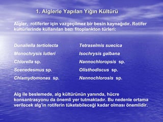 1. Alglerle Yap1. Alglerle Yapıılan Ylan Yığıığın Kn Küültltüürrüü
Algler, rotiferler için vazgeçilmez bir besin kaynağıdır. Rotifer
kültürlerinde kullanılan bazı fitoplankton türleri:
Dunaliella tertiolecta Tetraselmis suecica
Monochrysis lutleri Isochrysis galbana
Chlorella sp. Nannochloropsis sp.
Scenedesmus sp. Olisthodiscus sp.
Chlamydomonas sp. Nannochlorosis sp.
Alg ile beslemede, alg kültürünün yanında, hücre
konsantrasyonu da önemli yer tutmaktadır. Bu nedenle ortama
verilecek alg’in rotiferin tüketebileceği kadar olması önemlidir.
 