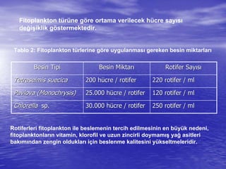 Fitoplankton türüne göre ortama verilecek hücre sayısı
değişiklik göstermektedir.
Besin TipiBesin Tipi Besin MiktarBesin Miktarıı Rotifer SayRotifer Sayııssıı
TetraselmisTetraselmis suecicasuecica 200 h200 hüücre / rotifercre / rotifer 220 rotifer / ml220 rotifer / ml
PavlovaPavlova ((MonochrysisMonochrysis)) 25.000 h25.000 hüücre / rotifercre / rotifer 120 rotifer / ml120 rotifer / ml
ChlorellaChlorella spsp.. 30.000 h30.000 hüücre / rotifercre / rotifer 250 rotifer / ml250 rotifer / ml
Tablo 2: Fitoplankton türlerine göre uygulanması gereken besin miktarları
Rotiferleri fitoplankton ile beslemenin tercih edilmesinin en büyük nedeni,
fitoplanktonların vitamin, klorofil ve uzun zincirli doymamış yağ asitleri
bakımından zengin oldukları için beslenme kalitesini yükseltmeleridir.
 