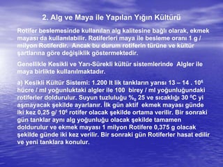 2. Alg ve Maya ile Yapılan Yığın Kültürü
Rotifer beslemesinde kullanılan alg kalitesine bağlı olarak, ekmek
mayası da kullanılabilir. Rotiferleri maya ile besleme oranı 1 g /
milyon Rotiferdir. Ancak bu durum rotiferin türüne ve kültür
şartlarına göre değişiklik göstermektedir.
Genellikle Kesikli ve Yarı-Sürekli kültür sistemlerinde Algler ile
maya birlikte kullanılmaktadır.
a) Kesikli Kültür Sistemi: 1.200 lt lik tankların yarısı 13 – 14 . 106
hücre / ml yoğunluktaki algler ile 100 birey / ml yoğunluğundaki
rotiferler doldurulur. Suyun tuzluluğu %0 25 ve sıcaklığı 30 0C yi
aşmayacak şekilde ayarlanır. İlk gün aktif ekmek mayası günde
iki kez 0,25 g/ 106 rotifer olacak şekilde ortama verilir. Bir sonraki
gün tanklar aynı alg yoğunluğu olacak şekilde tamamen
doldurulur ve ekmek mayası 1 milyon Rotifere 0,375 g olacak
şekilde günde iki kez verilir. Bir sonraki gün Rotiferler hasat edilir
ve yeni tanklara konulur.
 