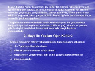 b) yarı-Sürekli Kültür Sistemleri: Bu kültür tekniğinde rotiferler aynı tank
içerisinde 5 gün tutulur. İlk iki gün boyunca kültür hacmi iki kat arttırılır
ve rotifer yoğunluğu yarıya indirilir. İzleyen günlerde, tankın yarısı hasat
edilir ve yoğunluk tekrar yarıya indirilir. Beşinci günde tank hasat edilir ve
prosedür yeniden uygulanır.
Alglerle beslenen rotiferlerin besin kompozisyonu bir çok predator
balığın ihtiyacını karşılamaz ve bazen rotiferler yağ, vitamin ve protein
gibi besleyici maddeleri ilave etmek amacıyla zenginleştirme
yapılmaktadır.
3. Maya ile Yapılan Yığın Kültürü
Ekmek mayasının rotifer yetiştiriciliğinde kullanılmasını sebepleri:
1. 5 – 7 µm boyutlarında olması
2. Yüksek protein oranına sahip olması
3. Fitoplankton yetiştirilmesi gibi ek bir çalışma gerektirmemesi
4. Ucuz olması dır.
 