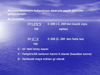 Mayanın beslemem kullanılması amacıyla çeşitli formüller
geliştirilmiştir.
Bu formüller:
D=1,3*C*V C 200 ( C, 200’den küçük veya
100 eşitse)
D= C * V C 200 (C, 200’ den fazla ise)
100
C : ml ’deki birey sayısı
V : Yetiştiricilik tankının hacmi lt olarak (hasattan sonra)
D : Verilecek maya miktarı gr olarak
 