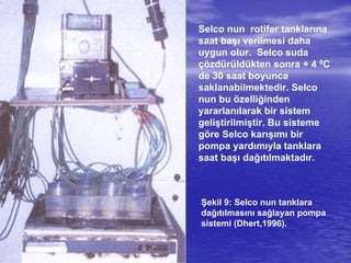 Selco nun rotifer tanklarına
saat başı verilmesi daha
uygun olur. Selco suda
çözdürüldükten sonra + 4 0C
de 30 saat boyunca
saklanabilmektedir. Selco
nun bu özelliğinden
yararlanılarak bir sistem
geliştirilmiştir. Bu sisteme
göre Selco karışımı bir
pompa yardımıyla tanklara
saat başı dağıtılmaktadır.
Şekil 9: Selco nun tanklara
dağıtılmasını sağlayan pompa
sistemi (Dhert,1996).
 