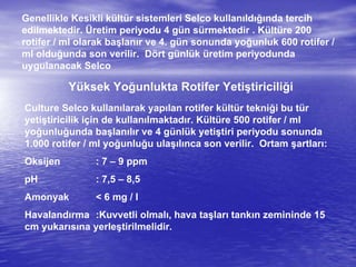 Genellikle Kesikli kültür sistemleri Selco kullanıldığında tercih
edilmektedir. Üretim periyodu 4 gün sürmektedir . Kültüre 200
rotifer / ml olarak başlanır ve 4. gün sonunda yoğunluk 600 rotifer /
ml olduğunda son verilir. Dört günlük üretim periyodunda
uygulanacak Selco
Yüksek Yoğunlukta Rotifer Yetiştiriciliği
Culture Selco kullanılarak yapılan rotifer kültür tekniği bu tür
yetiştiricilik için de kullanılmaktadır. Kültüre 500 rotifer / ml
yoğunluğunda başlanılır ve 4 günlük yetiştiri periyodu sonunda
1.000 rotifer / ml yoğunluğu ulaşılınca son verilir. Ortam şartları:
Oksijen : 7 – 9 ppm
pH : 7,5 – 8,5
Amonyak < 6 mg / l
Havalandırma :Kuvvetli olmalı, hava taşları tankın zemininde 15
cm yukarısına yerleştirilmelidir.
 