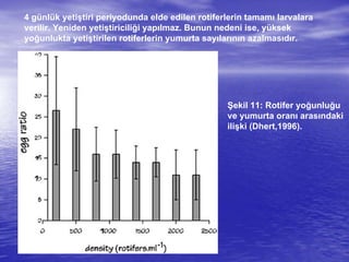 4 günlük yetiştiri periyodunda elde edilen rotiferlerin tamamı larvalara
verilir. Yeniden yetiştiriciliği yapılmaz. Bunun nedeni ise, yüksek
yoğunlukta yetiştirilen rotiferlerin yumurta sayılarının azalmasıdır.
Şekil 11: Rotifer yoğunluğu
ve yumurta oranı arasındaki
ilişki (Dhert,1996).
 