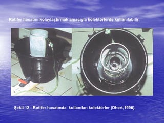 Rotifer hasatını kolaylaştırmak amacıyla kolektörlerde kullanılabilir.
Şekil 12 : Rotifer hasatında kullanılan kolektörler (Dhert,1996).
 