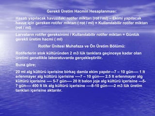 Gerekli Üretim Hacmin Hesaplanması:
Hasatı yapılacak havuzdaki rotifer miktarı (rot / ml) – Ekimi yapılacak
havuz için gereken rotifer miktarı ( rot / ml) = Kullanılabilir rotifer miktarı
(rot / ml)
Larvaların rotifer gereksinimi / Kullanılabilir rotifer miktarı = Günlük
gerekli üretim hacmi ( ml)
Rotifer Ünitesi Muhafaza ve Ön Üretim Bölümü:
Rotiferlerin stok kültüründen 2 m3 lük tanklara geçinceye kadar olan
üretimi genellikle laboratuvarda gerçekleştirilir.
Buna göre;
20 ml alg kültürü içerisine birkaç damla ekim yapılır---7 – 10 gün---- 1 lt
erlenmayer alg kültürü içerisine ----7 – 10 gün---- 2.5 lt erlenmayer alg
kültürü içerisine ---- 5-7 gün---- 20 lt balon joje alg kültürü içerisine ---5-
7 gün---- 400 lt lik alg kültürü içerisine ----8-10 gün-----2 m3 lük üretim
tankları içerisine aktarılır.
 