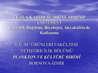 TUZLA KARTUZLA KARİİDESDESİİ=BR=BRİİNE SHRNE SHRİİMPMP
((ARTEMIAARTEMIA ))
CoCoğğrafik Darafik Dağığıllıımmıı, Biyolojisi,, Biyolojisi, AkvakAkvaküültltüürderde
KullanKullanıımmıı
E.E.ÜÜ. SU. SU ÜÜRRÜÜNLERNLERİİ FAKFAKÜÜLTESLTESİİ
YETYETİŞİŞTTİİRRİİCCİİLLİİK BK BÖÖLLÜÜMMÜÜ
PLANKTON VE KPLANKTON VE KÜÜLTLTÜÜRRÜÜ BBİİRRİİMMİİ
BORNOVABORNOVA--İİZMZMİİRR
 