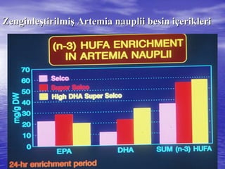 ZenginleZenginleşştirilmitirilmişş ArtemiaArtemia naupliinauplii besin ibesin iççeriklerierikleri
 