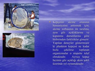•• KepKepççenin senin süüzme oranzme oranıınnıınn
hassasiyetini artthassasiyetini arttıırmak irmak iççin,in,
ssüüzme torbaszme torbasıınnıınn öön tarafn tarafıına,na,
aynaynıı ggööz az aççııklklııklarklarıına vena ve
kapanma durumlarkapanma durumlarıına gna göörere
birbirinden farklbirbirinden farklııllııklar gklar göösterir.sterir.
YapYapıılan deneyler glan deneyler gööstermistermişştirtir
ki plankton kepki plankton kepççesi ne kadaresi ne kadar
hhıızlazla ççekilirse toplananekilirse toplanan
organizmalar o nispette teleforganizmalar o nispette telef
olmaktadolmaktadıır. Ayrr. Ayrııca kepca kepççee
bezinin gbezinin gööz az aççııklklığıığı akakıımm şşekliekli
üüzerinde rol oynamaktadzerinde rol oynamaktadıır.r.
 