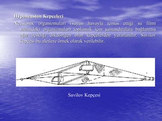 HyponeustonHyponeuston KepKepççelerieleri
NeustonikNeustonik organizmalarorganizmalarıı (suyun havayla temas etti(suyun havayla temas ettiğği su filmii su filmi
sathsathıındaki organizmalar) toplamak indaki organizmalar) toplamak iççinin şşamandamandııralara baralara bağğlanmlanmışış
aağığız az aççııklklığıığı dikddikdöörtgen olan keprtgen olan kepççelerden yararlanelerden yararlanııllıır.r. SavilovSavilov
kepkepççesi bu aletlereesi bu aletlere öörnek olarak verilebilir.rnek olarak verilebilir.
Savilov Kepçesi
 