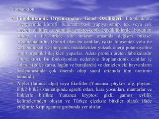 FitoplanktonFitoplankton
•• Fitoplanktonik OrganizmalarFitoplanktonik Organizmalarıı GenelGenel ÖÖzellikleri:zellikleri: Fitoplankton,Fitoplankton,
hhüücrelerinde klorofil bulunan, basit yapcrelerinde klorofil bulunan, basit yapııya sahip, tek veyaya sahip, tek veya ççokok
hhüücreli olabilen,creli olabilen, ççooğğunluunluğğu mikroskobik bu mikroskobik büüyyüüklklüüklerde, boyutlarklerde, boyutlarıı
birkabirkaçç µµ ile birkaile birkaçç yyüüz mikron arasz mikron arasıında denda değğiişşen bitkiselen bitkisel
organizmalardorganizmalardıır. Ototrof olan bu canlr. Ototrof olan bu canlıılar,lar, ışıışıkta fotosentez yolu ilekta fotosentez yolu ile
karbondioksit ve inorganik maddelerden ykarbondioksit ve inorganik maddelerden yüüksek enerji potansiyelineksek enerji potansiyeline
sahip organik bilesahip organik bileşşikleri yaparlar. Adeta proteinikleri yaparlar. Adeta protein üüreten fabrikalardreten fabrikalardıırr
((bioreaktbioreaktöörr). Bu fonksiyonlar). Bu fonksiyonlarıı nedeniyle fitoplanktonik canlnedeniyle fitoplanktonik canlıılar ilar içç
sularda (gsularda (gööl, akarsu, lagl, akarsu, lagüün ve barajlarda) ve denizlerdeki hayvanlarn ve barajlarda) ve denizlerdeki hayvanlarıınn
beslenmesindebeslenmesinde ççokok öönemli olup sucul ortamda tnemli olup sucul ortamda tüümm üüretiminretimin
temelidir.temelidir.
•• Algler (Algler (latincelatince:: algaalga) veya) veya fikofitlerfikofitler (Yunanca:(Yunanca: phykosphykos, alg,, alg, phytonphyton::
bitki) bitki sistematibitki) bitki sistematiğğinde einde eğğrelti otlarrelti otlarıı, kara yosunlar, kara yosunlarıı, mantarlar ve, mantarlar ve
linklerle birlikte Yunancalinklerle birlikte Yunanca kryptoskryptos: gizli,: gizli, gamosgamos: evlilik: evlilik
kelimelerinden olukelimelerinden oluşşan ve Tan ve Tüürkrkççee ççiiççeksiz bitkiler olarak ifadeeksiz bitkiler olarak ifade
ettiettiğğimizimiz KriptogamaeKriptogamae grubunda yer algrubunda yer alıırlar.rlar.
 