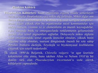 Plankton KPlankton Küültltüürrüü
Fitoplankton KFitoplankton Küültltüürleri:rleri: Sucul ortamlarda organik madde sentezleyenSucul ortamlarda organik madde sentezleyen
temeltemel üüreticiler fitoplankton veya mikro alg treticiler fitoplankton veya mikro alg tüürleridir. Mikro algler sonrleridir. Mikro algler son
derece zengin, karbonhidrat vederece zengin, karbonhidrat ve öözellikle yazellikle yağğ asidi iasidi iççerieriğğine sahiptirler.ine sahiptirler.
Besin deBesin değğeri yeri yüüksek olan bu organizmalar suculksek olan bu organizmalar sucul kommunitelerkommuniteler iiççinin
makro nutrient, vitamin ve iz elementlerin enmakro nutrient, vitamin ve iz elementlerin en öönemli kaynanemli kaynağığıddıırlar.rlar.
AynAynıı zamanda balzamanda balıık ve omurgask ve omurgasıızlarda renklenmenin gelizlarda renklenmenin gelişşmesindemesinde
gerekli olan temel pigmentleri sagerekli olan temel pigmentleri sağğlarlar. Dolaylarlar. Dolayııssııyla mikro alglerinyla mikro alglerin
sucul ortamlarsucul ortamlarıındaki temel organikndaki temel organik üüreticiler olmalarreticiler olmalarıı, y, yüüksek besinksek besin
dedeğğerine sahip olmalarerine sahip olmalarıı, nutrient d, nutrient dööngngüüssüündende öönemli bir role sahipnemli bir role sahip
olmalarolmalarıı bunlarbunlarıın ekolojik, fizyolojik ve biyokimyasaln ekolojik, fizyolojik ve biyokimyasal öözelliklerinizelliklerini
ççalalışışmak imak iççin yeterli nedenlerdir.in yeterli nedenlerdir.
İİlk olarak 1890lk olarak 1890’’dada BeijernikBeijernik,, ChlorellaChlorella vulgarisvulgaris ‘‘inin agaragar üüzerindezerinde
kolonilerini elde etmikolonilerini elde etmişş, bunu takiben, bunu takiben AllenAllen ve Nelson 1910ve Nelson 1910’’da birda bir
diatomdiatom ttüürrüü olanolan Phaeodactylum tricornutumPhaeodactylum tricornutum’’u izole edereku izole ederek
kküültltüürlerini yapmrlerini yapmışışlardlardıır.r.
 
