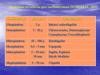 SSıınnııflandflandıırmarma BoyutlarBoyutlar OrganizmalarOrganizmalar
UltraplanktonUltraplankton 55 µµ Bakteri, mikroflagellatBakteri, mikroflagellat
NannoplanktonNannoplankton 55 -- 5050 µµ Chlorococcales, DiatomophyceaeChlorococcales, Diatomophyceae
Cyanophyceae, CoccolithophoridCyanophyceae, Coccolithophorid
MikroplanktonMikroplankton 5050 –– 500500 µµ DinofalgellatDinofalgellat
MesoplanktonMesoplankton 0,50,5 –– 5 mm5 mm CopepodaCopepoda
MakroplanktonMakroplankton 55 –– 50 mm50 mm
50 mm50 mm
Sagitta, EuphasiaSagitta, Euphasia
BBüüyyüük Medk Medüüzlerzler
MegaloplanktonMegaloplankton 55 –– 50 cm50 cm ClupediaClupedia
Planktonun boyutlarına göre sınıflandırılması (MARGALEF, 1967)
 