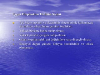 Uygun Fitoplankton TUygun Fitoplankton Tüürrüünnüün Sen Seççimiimi
 Tek hTek hüücre proteini vecre proteini ve akvakakvaküültltüürr sistemlerinde kullansistemlerinde kullanıılacaklacak
alg talg tüürlerin sahip olmasrlerin sahip olmasıı gerekengereken öözellikler:zellikler:
1.1. YYüüksek bksek büüyyüüme hme hıızzıına sahip olmasna sahip olmasıı,,
2.2. YYüüksek protein iksek protein iççerieriğğine sahip olmasine sahip olmasıı,,
3.3. Ortam koOrtam koşşullarullarıındaki ani dendaki ani değğiişşimlere karimlere karşışı direndirenççli olmasli olmasıı,,
4.4. Besleyici deBesleyici değğeri yeri yüüksek, kolayca sindirilebilir veksek, kolayca sindirilebilir ve toksiktoksik
olamamasolamamasıı..
 