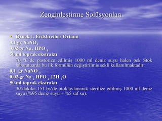•• ÖÖrnek 1.rnek 1. ErdshreiberErdshreiber OrtamOrtamıı
0.1 gr NaNO0.1 gr NaNO33
0.02 gr Na0.02 gr Na22 HPOHPO 44
50 ml toprak50 ml toprak ekstraekstrakkttıı
7070 00
CC’’de pastde pastöörize edilmirize edilmişş 1000 ml deniz suyu halen pek1000 ml deniz suyu halen pek StStokok
laboratuarda bu ilk formlaboratuarda bu ilk formüüllüün den değğiişştirilmitirilmişş şşekli kullanekli kullanıılmaktadlmaktadıır:r:
0.10.1 grgr NaNONaNO 33
0.02 gr0.02 gr NaNa 22 HPOHPO 44.12H.12H 22OO
50 ml toprak50 ml toprak ekstraktekstraktıı
30 dakika 15130 dakika 151 bsbs’’dede otoklavotoklavllaananarakrak ststerilizeerilize edilmiedilmişş 1000 ml deniz1000 ml deniz
suyu (%95 deniz suyu + %5 saf su).suyu (%95 deniz suyu + %5 saf su).
ZenginleZenginleşştirme Soltirme Solüüsyonlarsyonlarıı
 