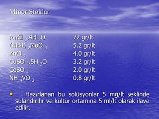MinorMinor StoklarStoklar
MnClMnCl 22.4H.4H 22OO 72 gr/72 gr/ltlt
(NH4)(NH4) 22MoOMoO 44 5.2 gr/5.2 gr/ltlt
ZnClZnCl 22 4.0 gr/4.0 gr/ltlt
CuSOCuSO 44.5H.5H 22OO 3.2 gr/3.2 gr/ltlt
CoSOCoSO 44 2.0 gr/2.0 gr/ltlt
NHNH 44VOVO 33 0.8 gr/0.8 gr/ltlt
•• HazHazıırlanan bu solrlanan bu solüüsyonlar 5 mg/syonlar 5 mg/ltlt şşeklindeeklinde
sulandsulandıırrııllıır ve kr ve küültltüür ortamr ortamıına 5 ml/na 5 ml/ltlt olarak ilaveolarak ilave
edilir.edilir.
 