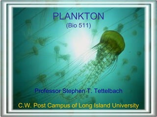 PLANKTON (Bio 511) Professor Stephen T. Tettelbach C.W. Post Campus of Long Island University 