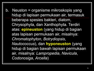 Neuston Insect membahas tentang plantonoligi di bidang perikanan | PPT