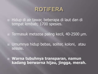  Hidup di air tawar, beberapa di laut dan di
tempat lembab; 1700 spesies.
 Termasuk metazoa paling kecil, 40-2500 µm.
 Umumnya hidup bebas, soliter, koloni, atau
sessile.
 Warna tubuhnya transparan, namun
kadang berwarna hijau, jingga, merah.
 