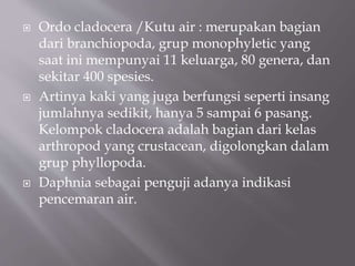  Ordo cladocera /Kutu air : merupakan bagian
dari branchiopoda, grup monophyletic yang
saat ini mempunyai 11 keluarga, 80 genera, dan
sekitar 400 spesies.
 Artinya kaki yang juga berfungsi seperti insang
jumlahnya sedikit, hanya 5 sampai 6 pasang.
Kelompok cladocera adalah bagian dari kelas
arthropod yang crustacean, digolongkan dalam
grup phyllopoda.
 Daphnia sebagai penguji adanya indikasi
pencemaran air.
 