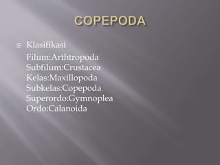  Klasifikasi
Filum:Arthtropoda
Subfilum:Crustacea
Kelas:Maxillopoda
Subkelas:Copepoda
Superordo:Gymnoplea
Ordo:Calanoida
 