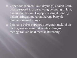  Copepods (berarti "kaki dayung") adalah kecil,
udang-seperti krustasea yang berenang di laut,
danau, dan kolam. Copepods sangat penting
dalam jaringan makanan karena banyak
binatang memakannya.
 Berenang bebas copepods bergerak melalui air
pada gerakan tersentak-sentak dengan
menggerakkan kaki mereka berenang.
 