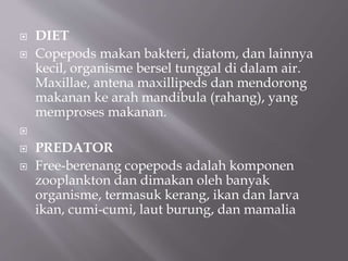  DIET
 Copepods makan bakteri, diatom, dan lainnya
kecil, organisme bersel tunggal di dalam air.
Maxillae, antena maxillipeds dan mendorong
makanan ke arah mandibula (rahang), yang
memproses makanan.

 PREDATOR
 Free-berenang copepods adalah komponen
zooplankton dan dimakan oleh banyak
organisme, termasuk kerang, ikan dan larva
ikan, cumi-cumi, laut burung, dan mamalia
 