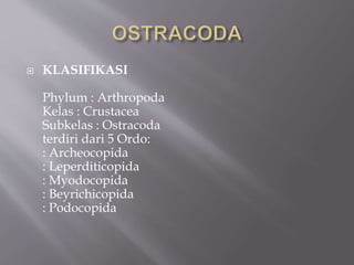  KLASIFIKASI
Phylum : Arthropoda
Kelas : Crustacea
Subkelas : Ostracoda
terdiri dari 5 Ordo:
: Archeocopida
: Leperditicopida
: Myodocopida
: Beyrichicopida
: Podocopida
 