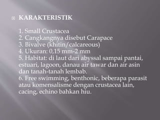  KARAKTERISTIK
1. Small Crustacea
2. Cangkangnya disebut Carapace
3. Bivalve (khitin/calcareous)
4. Ukuran: 0,15 mm-2 mm
5. Habitat: di laut dari abyssal sampai pantai,
estuari, lagoon, danau air tawar dan air asin
dan tanah-tanah lembab.
6. Free swimming, benthonic, beberapa parasit
atau komensalisme dengan crustacea lain,
cacing, echino bahkan hiu.
 